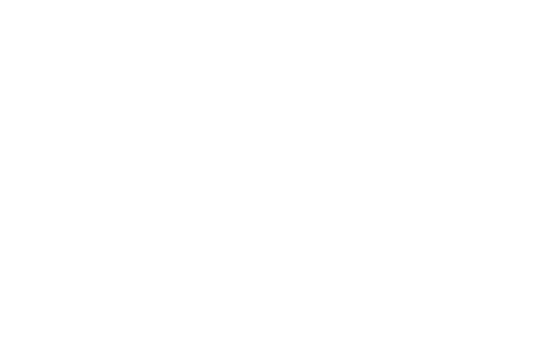 The Theatre Practice
